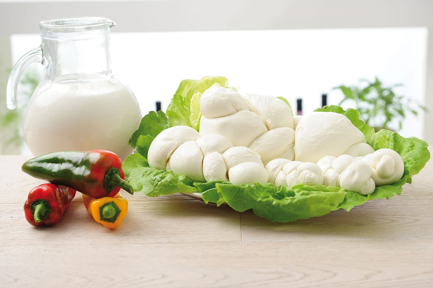 Treccione di Bufala Campana DOP